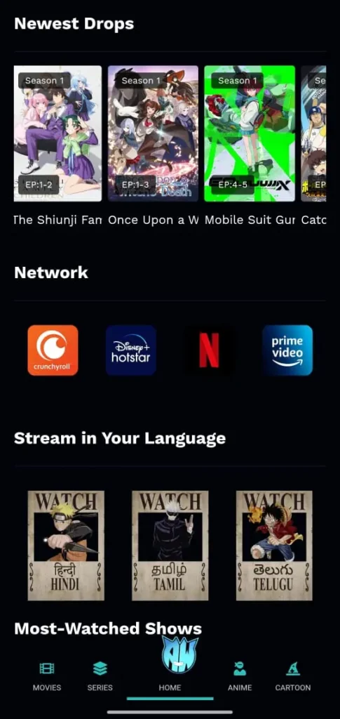 What is Anime World India?
